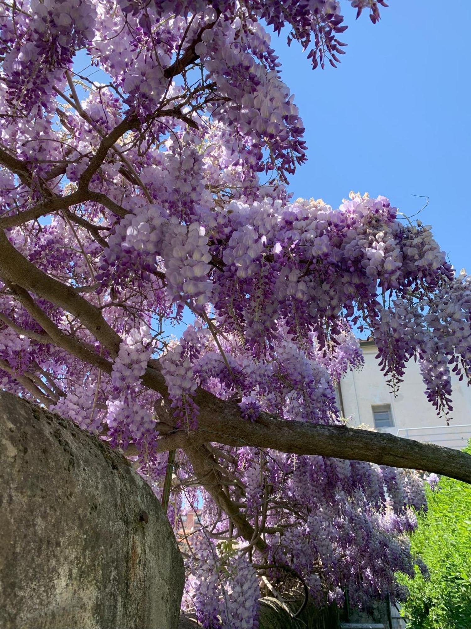 Paradisa28 - Amalfi - Zona Ospedale Cisanello Піза Екстер'єр фото